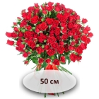Красные кустовые розы 50 см