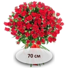 Красные кустовые розы 70 см