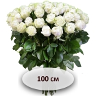 Белая роза 100 см