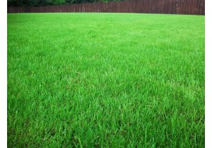 Посев газона с добавлением слоя земли более 15 см