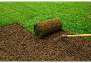 Укладка газона с добавлением слоя земли более 15 см