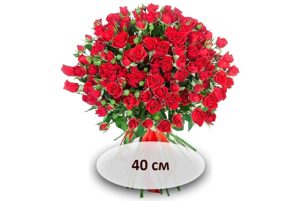 Красные кустовые розы 40 см