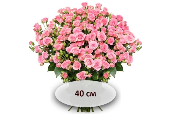 Розовые кустовые розы 40 см