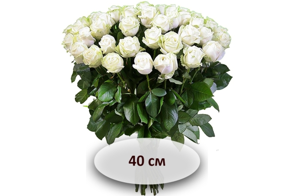 Белая роза 40 см